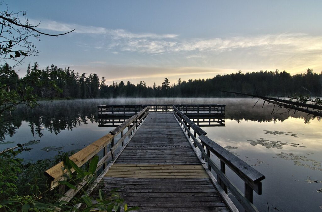 Wooden fishing pier stretching into a still, misty lake ringed by pines at sunrise