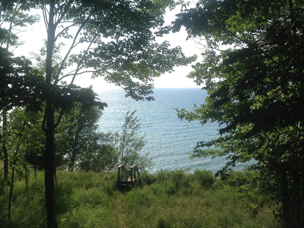 View through summer trees from a hillside cabin to blue Lake Michigan and a small bench above the water