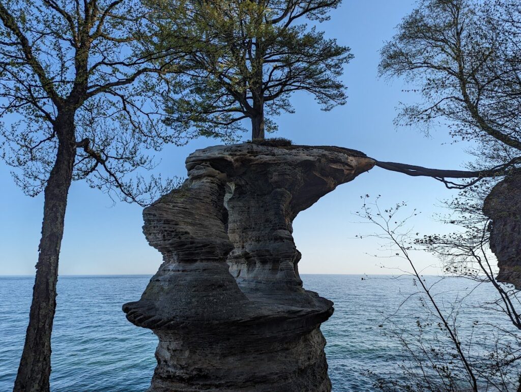 Chapel Rock, a sandstone pillar topped by a pine tree whose root stretches across a gap to the mainland