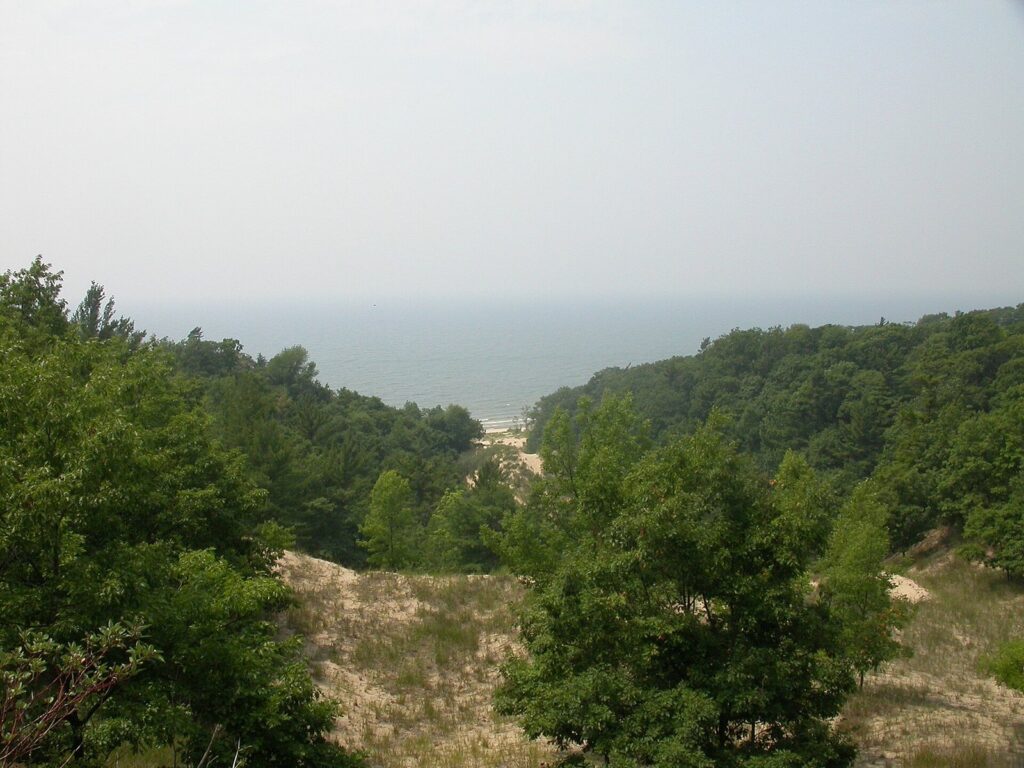 View from a wooded dune over treetops and open sand to a hazy Lake Michigan