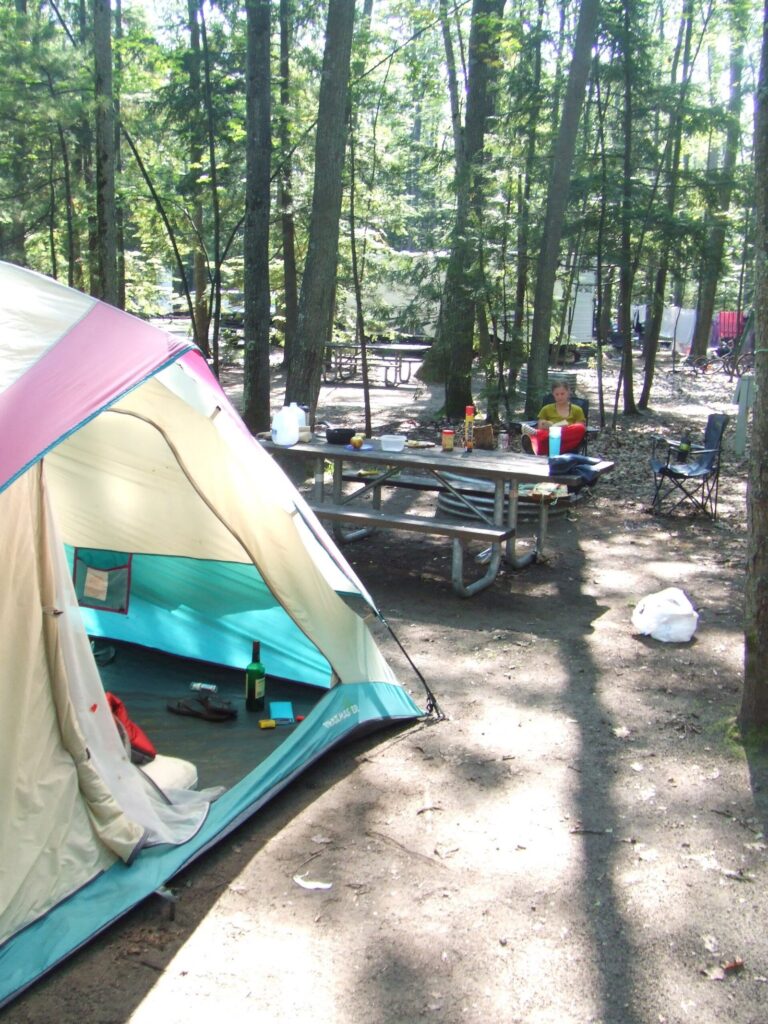 A tent and picnic table at a wooded campsite among tall pines in a state park