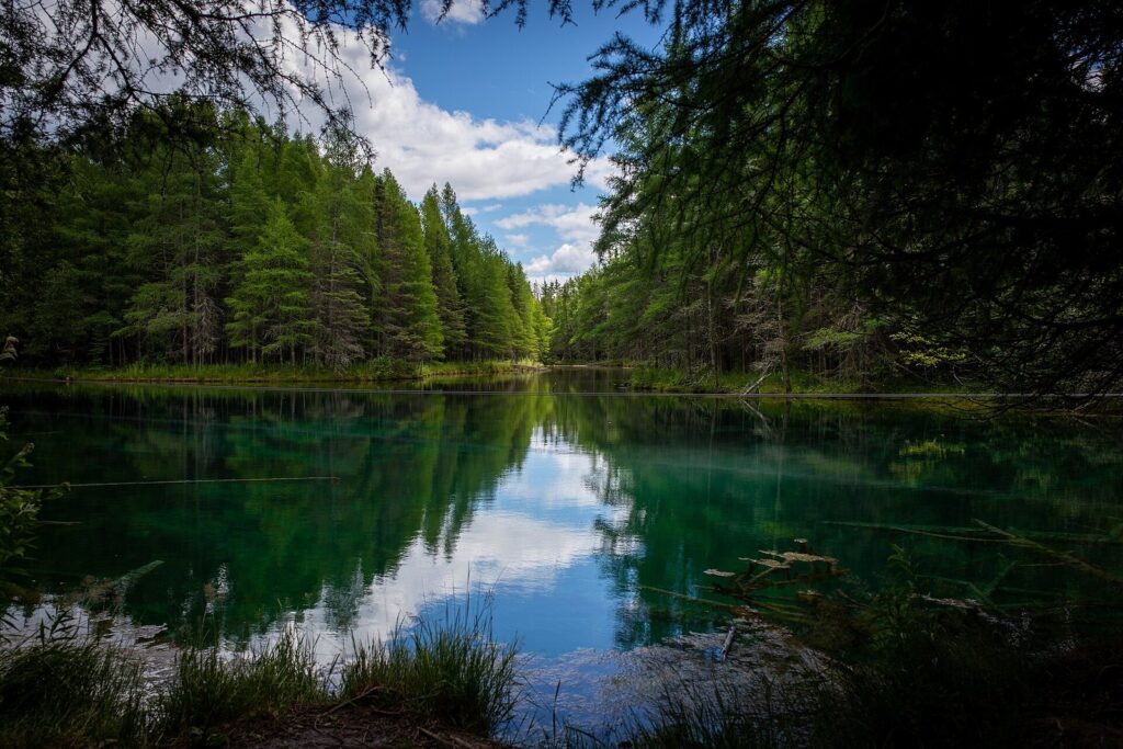 Emerald-green water of Kitch-iti-kipi spring reflecting cedar and pine trees under a partly cloudy sky