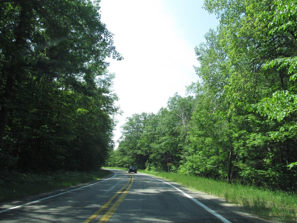 Two-lane highway curving through thick green summer forest on M-22 in northwest Michigan