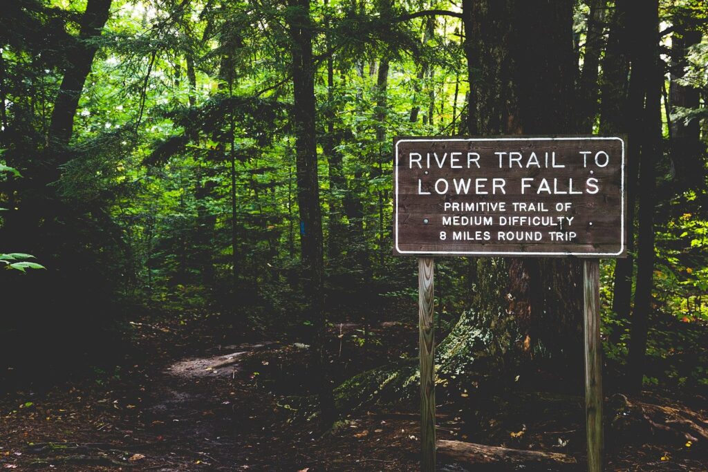 Wooden trail sign reading River Trail to Lower Falls in a dense green forest