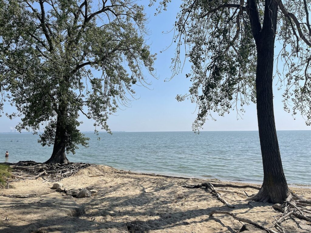 Lake Erie shoreline at Sterling State Park, with shade trees on a sandy bank and calm water