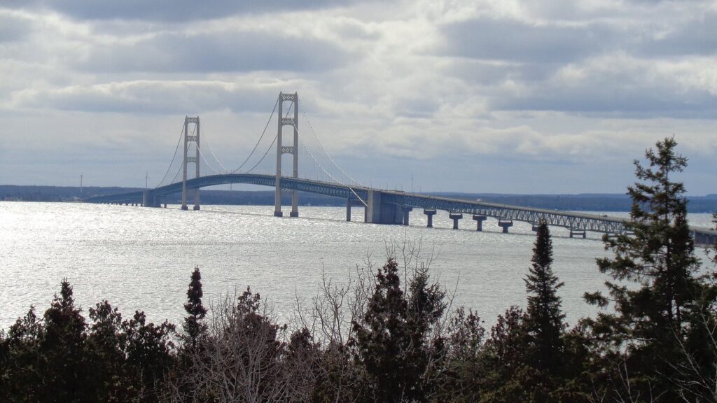 The Mackinac Bridge stretching across the Straits under a cloudy sky, seen above evergreen trees from a state park