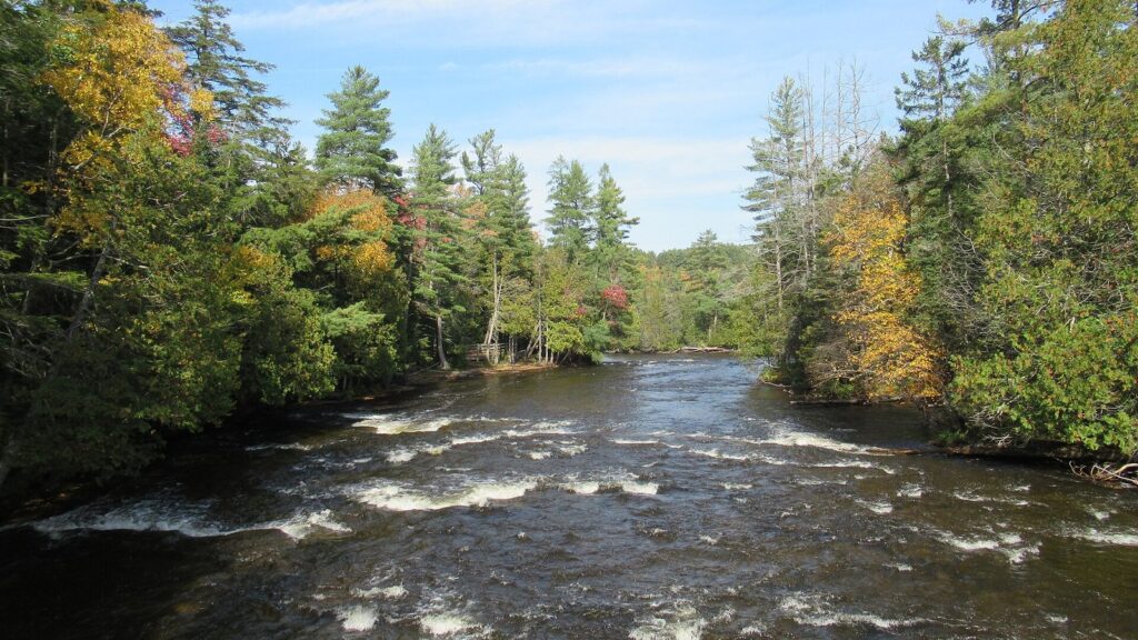 Rapids on the Tahquamenon River below the Lower Falls, lined with pines and early fall color