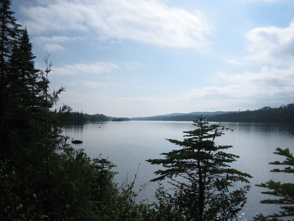 Calm, sheltered harbor of dark blue water between low spruce-covered ridges under a pale sky